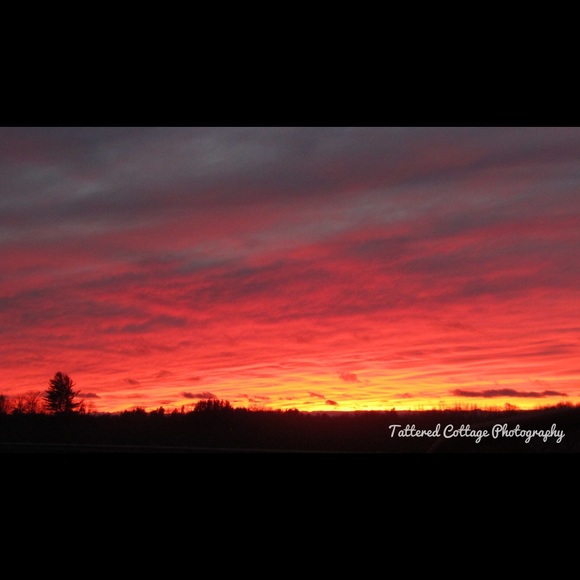 Meet your Posher, Rachael - Picture 4 of 7